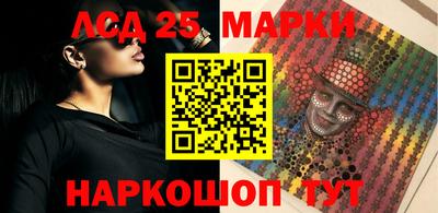 индика Пенза