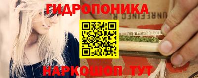 индика Пенза