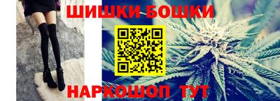 индика Пенза