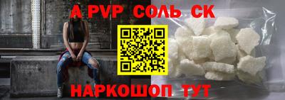 индика Пенза