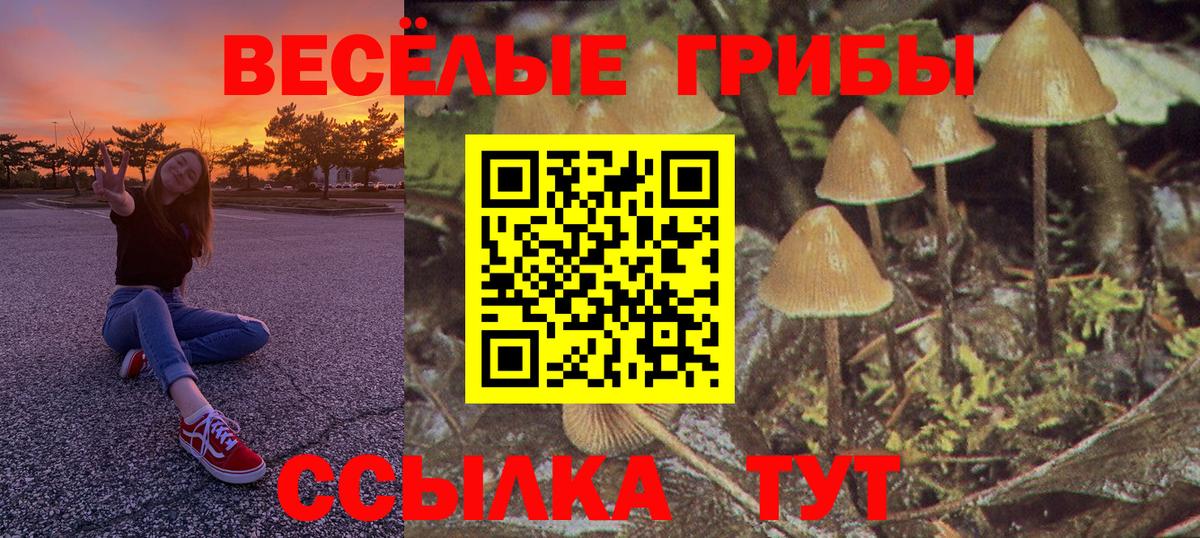 Галлюциногенные грибы прущие грибы Мариинск