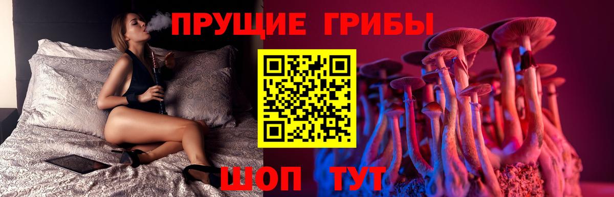 Мариинск  Псилоцибиновые грибы GOLDEN TEACHER  Псилоцибиновые грибы мухоморы  купить наркотик  Вход с VPN 